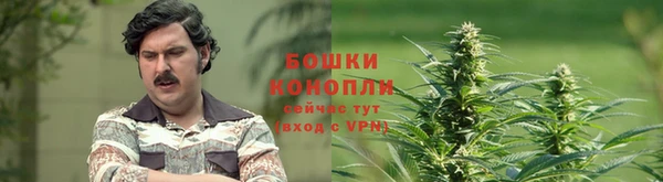 гидропоника Балахна